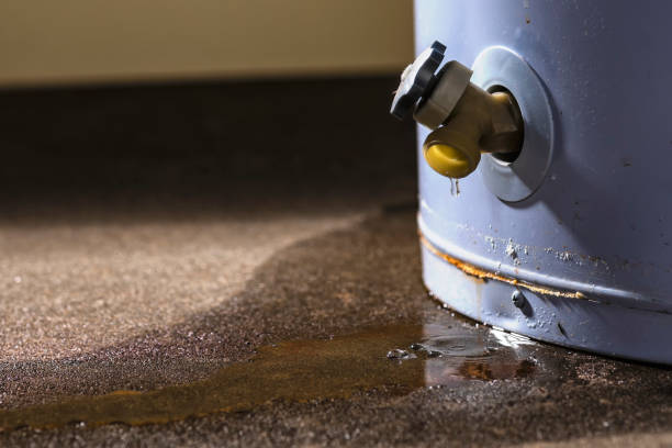  Lexington, MI Water damage restoration Pros