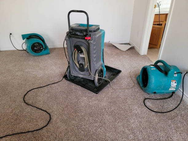 Reliable MI Water damage restoration Solutions