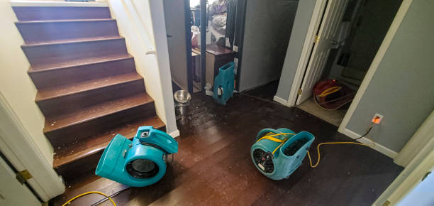 Best Commercial water damage restoration  in Lexington, MI