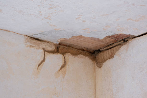 24/7 water damage repair in MI