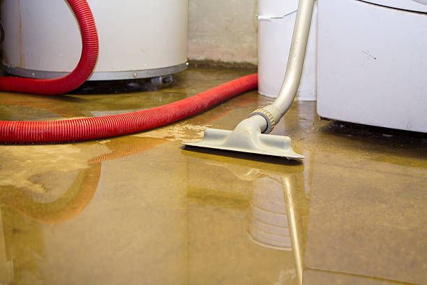 Best Water damage restoration process  in Lexington, MI