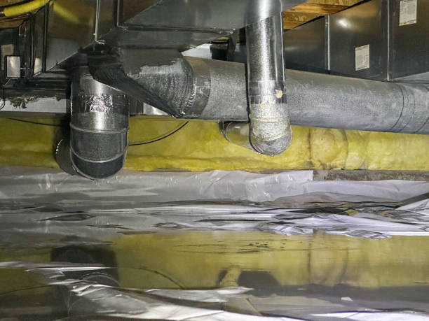 Best Flood damage cleanup  in Lexington, MI