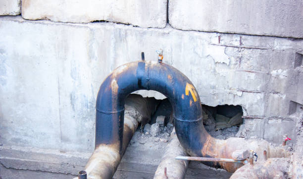 Best Fire Damage Restoration  in Lexington, MI