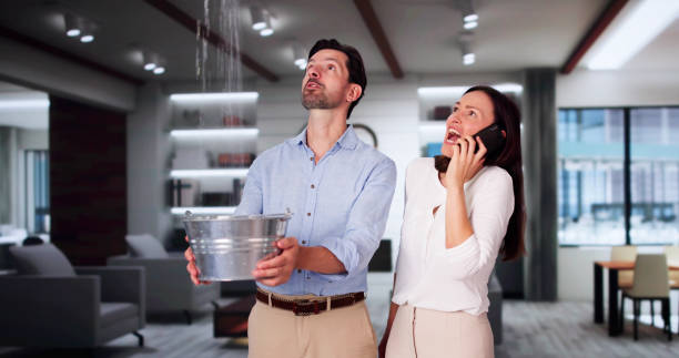 Best Water damage restoration insurance claims  in Lexington, MI