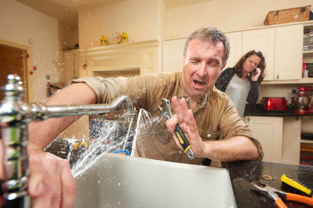 Best Residential water damage restoration  in Lexington, MI